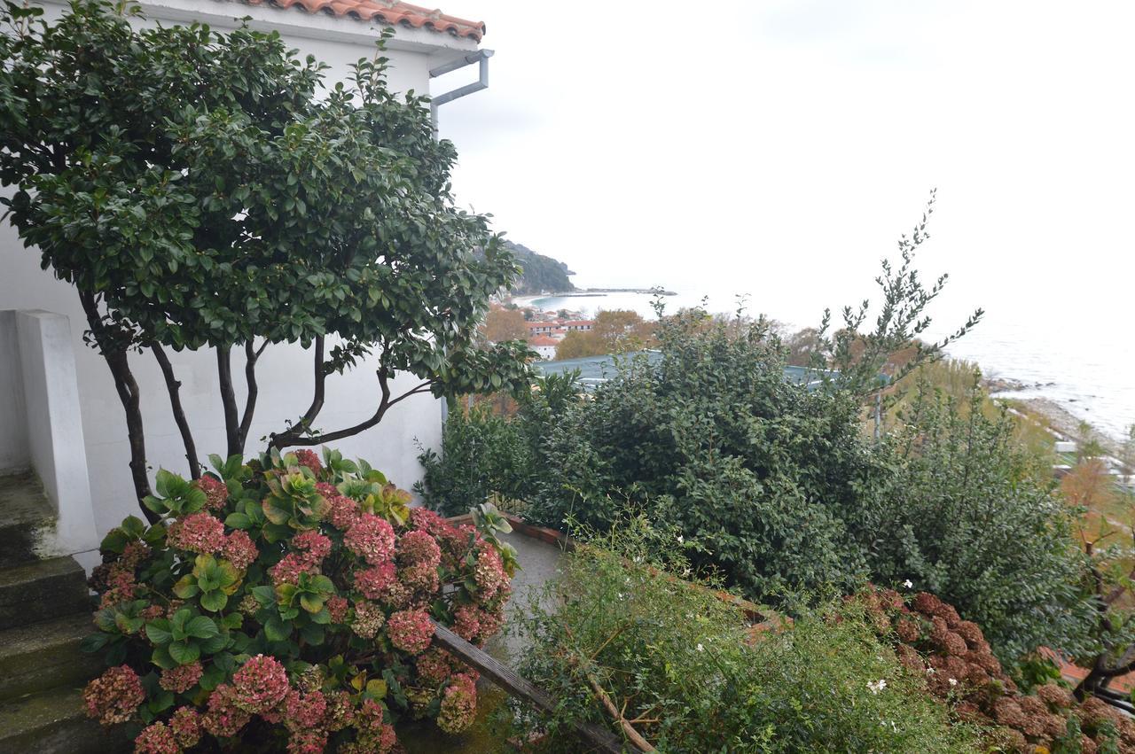 Ferienwohnung Pelion Orama Agios Ioannis  Exterior foto