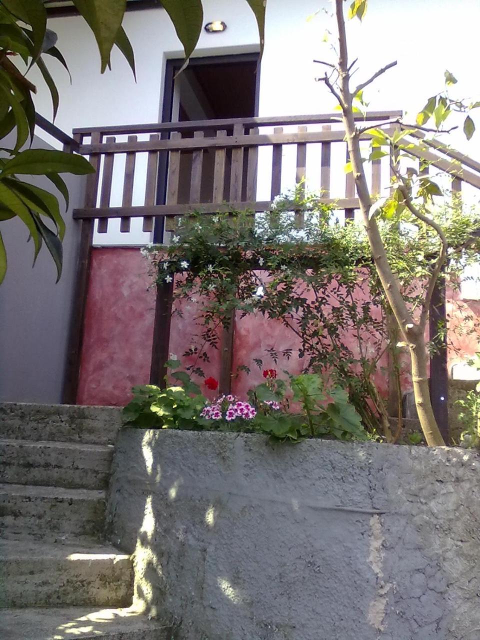 Ferienwohnung Pelion Orama Agios Ioannis  Exterior foto